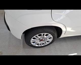 FIAT New Panda usata, con Airbag testa