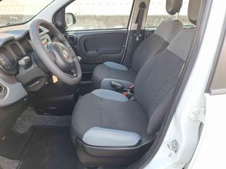 FIAT Panda usata, con ESP