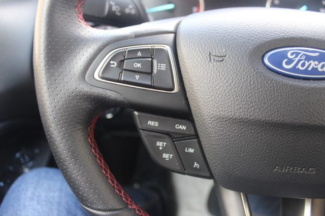 FORD EcoSport usata, con Sensore di pioggia