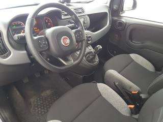 FIAT Panda usata, con Autoradio
