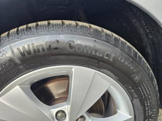 SKODA Octavia usata 151