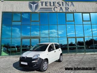 FIAT Panda usata 18