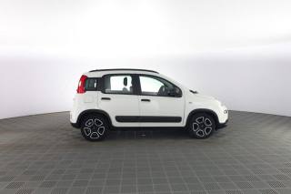 FIAT Panda usata 2