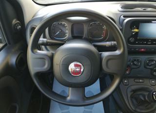 FIAT Panda usata, con Immobilizzatore elettronico