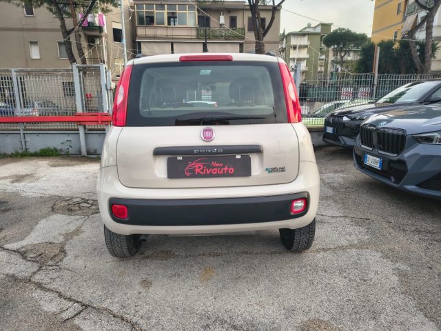FIAT Panda usata, con Alzacristalli elettrici