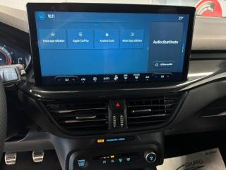 FORD Focus usata, con Vetri oscurati