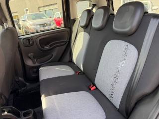 FIAT Panda usata 13