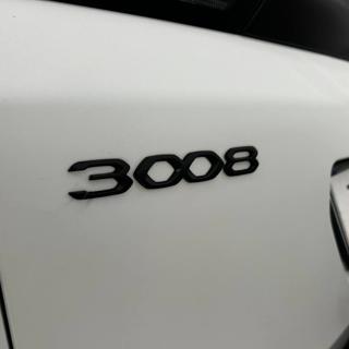 PEUGEOT 3008 usata, con Luci diurne