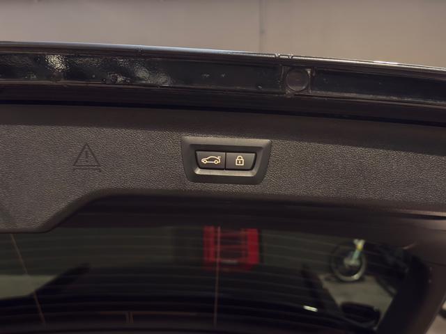 BMW 520 usata, con Controllo vocale