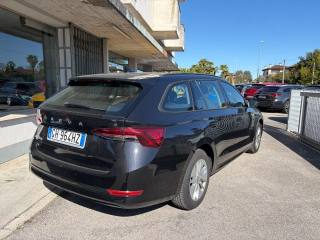 SKODA Octavia usata, con Servosterzo