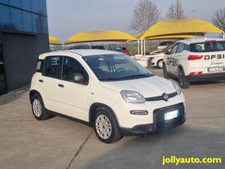 FIAT Panda usata, con Airbag Passeggero