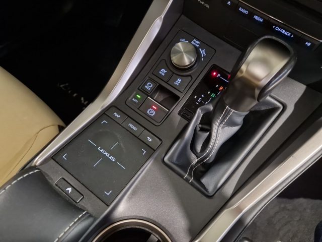 LEXUS NX 300 usata, con Interni in pelle