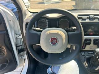 FIAT Panda usata, con Controllo trazione