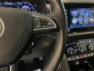 SKODA Kodiaq usata, con Fendinebbia