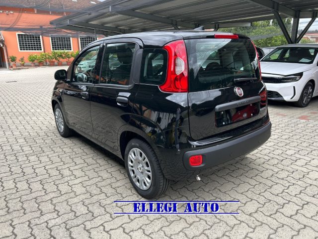 FIAT Panda usata, con Antifurto