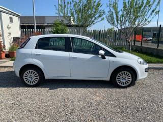FIAT Punto Evo usata, con Airbag Passeggero
