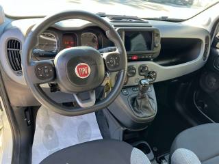 FIAT Panda usata, con Controllo trazione
