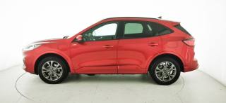 FORD Kuga usata, con Chiusura centralizzata telecomandata