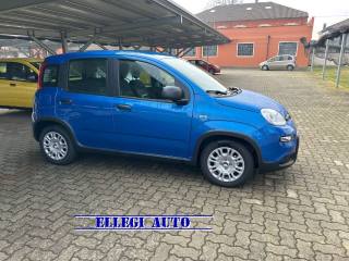 FIAT Panda usata, con ESP