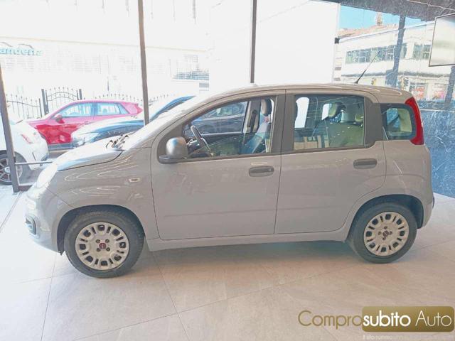FIAT Panda usata, con Alzacristalli elettrici