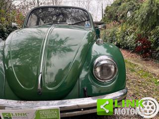 VOLKSWAGEN Maggiolino usata 31