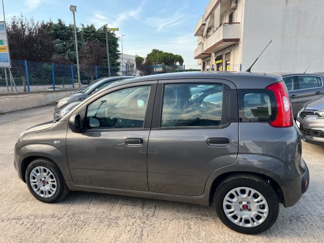 FIAT Panda usata 4