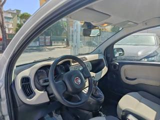 FIAT Panda usata, con Cronologia tagliandi