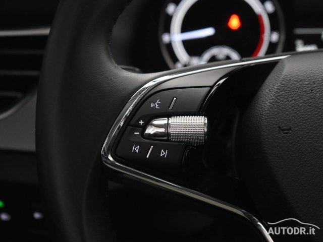 SKODA Kamiq usata, con Volante multifunzione