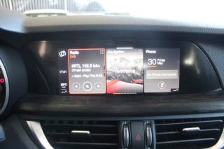 ALFA ROMEO Stelvio usata, con ESP