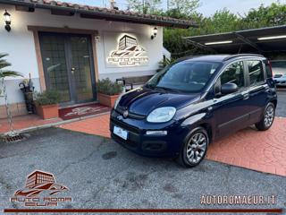 FIAT Panda 1.2 Lounge TAGLIANDATA CON DISTRIBUZIONE E GOMME!