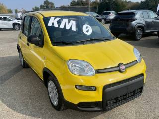 FIAT Panda 1.0 FireFly S&S Hybrid Pandina