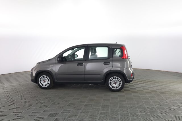 FIAT Panda usata 5