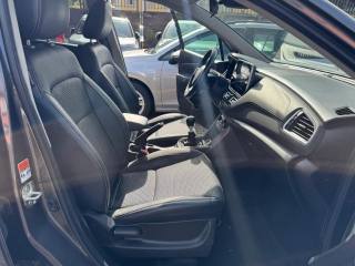 SUZUKI S-Cross usata, con Fendinebbia