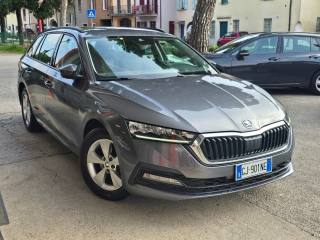 SKODA Octavia usata 117