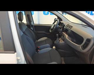 FIAT New Panda usata 17