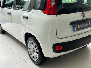 FIAT Panda usata, con Alzacristalli elettrici