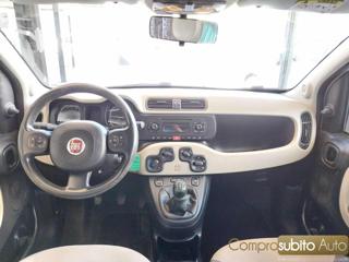 FIAT Panda usata 12