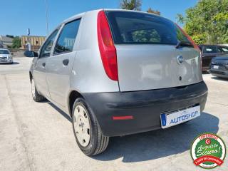FIAT Punto usata 5