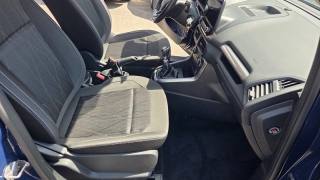 FORD EcoSport usata, con Cronologia tagliandi