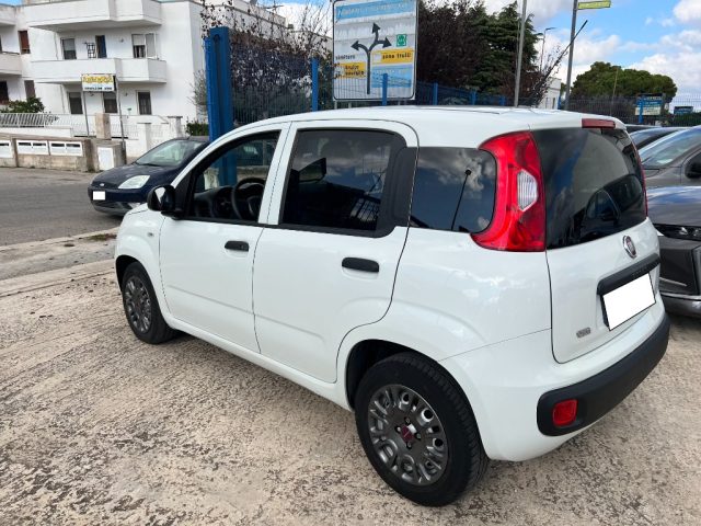 FIAT Panda usata 4