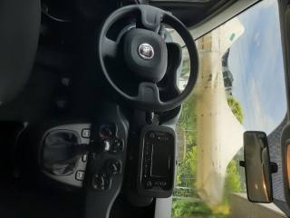 FIAT Panda usata 14