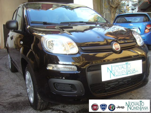 FIAT Panda usata, con Airbag Passeggero