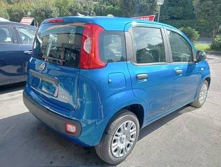 FIAT Panda usata, con Airbag