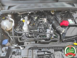 FORD Puma usata, con Bracciolo