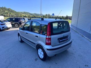FIAT Panda usata, con Servosterzo