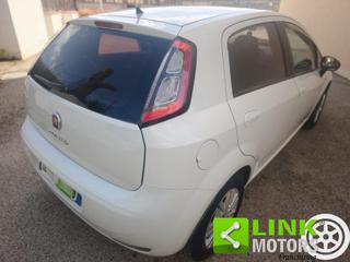 FIAT Punto usata 22