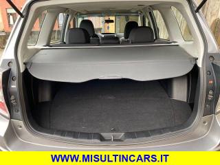 SUBARU Forester usata, con Cruise Control
