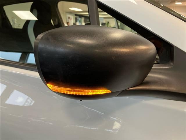 RENAULT ZOE usata 15