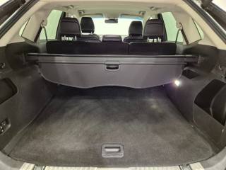FORD Edge usata, con Fendinebbia