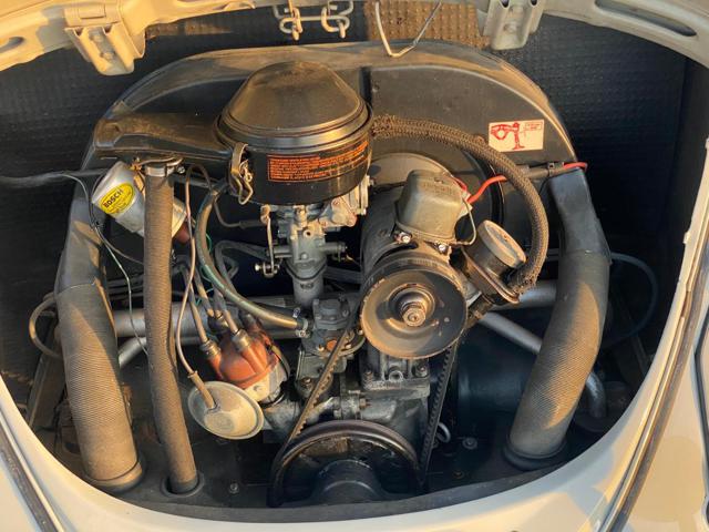 VOLKSWAGEN Maggiolino usata 12